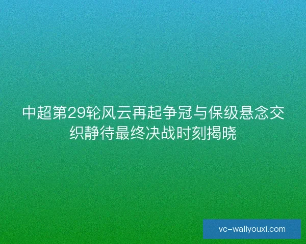 中超第29轮风云再起争冠与保级悬念交织静待最终决战时刻揭晓
